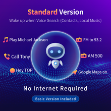 Load image into Gallery viewer, 【Basic Activation Code】 – 10-Year Offline Voice Access
