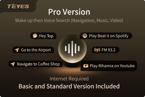 Teyes Voice AI assistant license code (Pro Version)